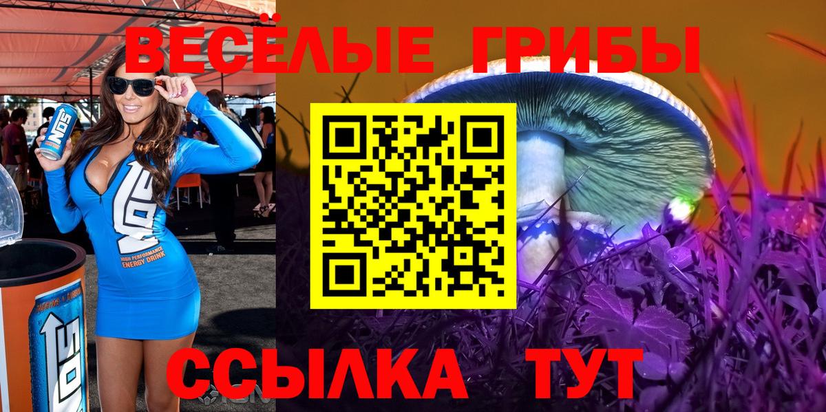 Псилоцибиновые грибы MAGIC MUSHROOMS Златоуст