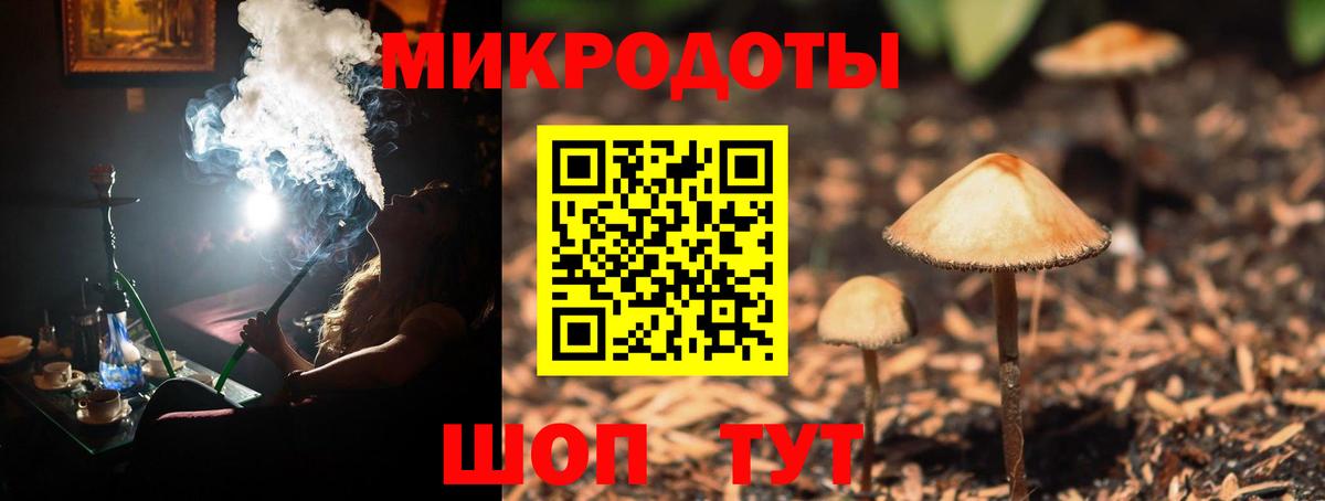 Псилоцибиновые грибы прущие грибы  Вход с VPN  Златоуст 